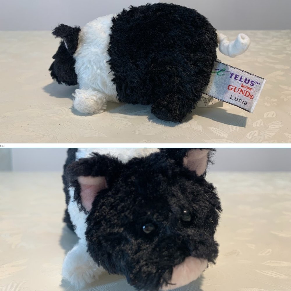 TELUS 2003 advertising collectible - Lucie the pig
